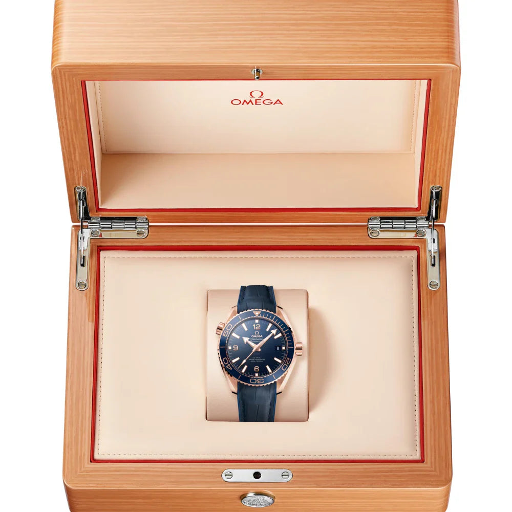 O Seamaster PLANET OCEAN 600M
