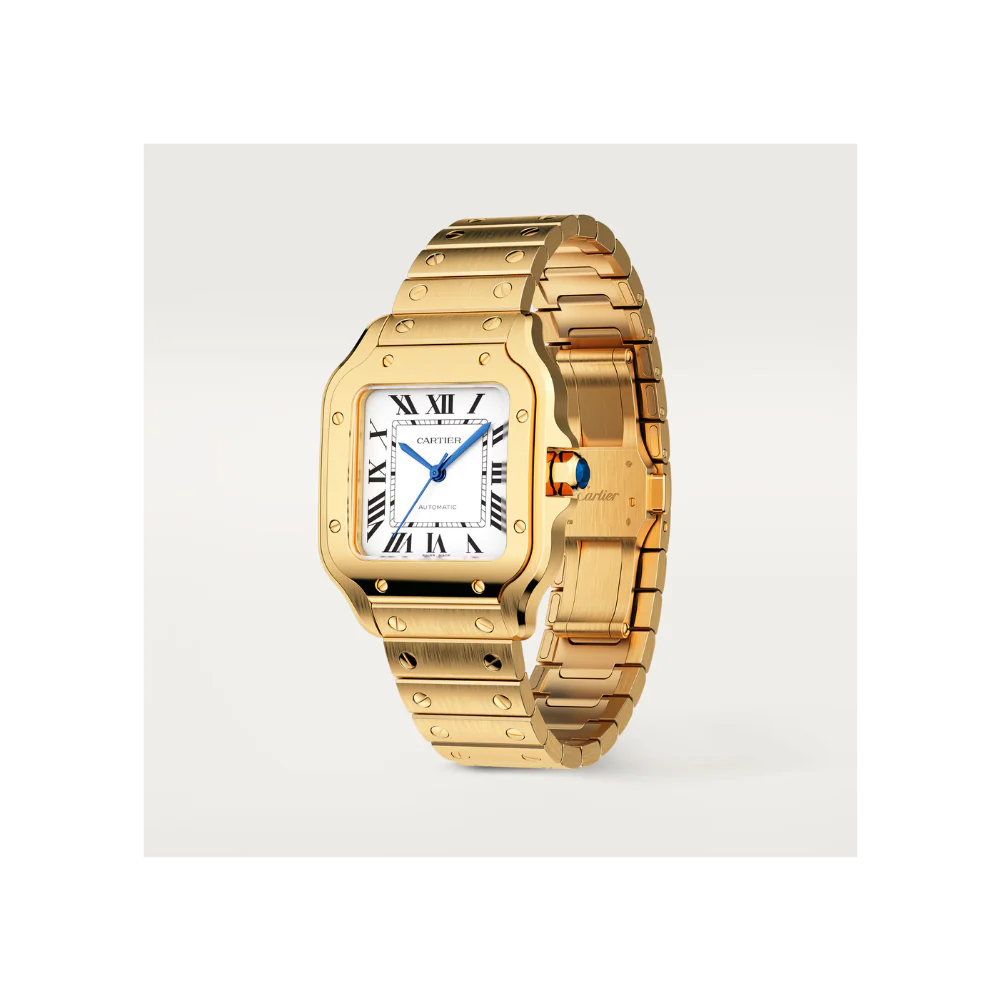 S de C Medium Watch