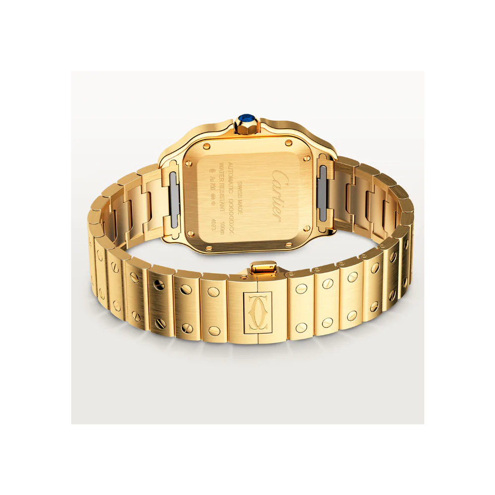 S de C Medium Watch