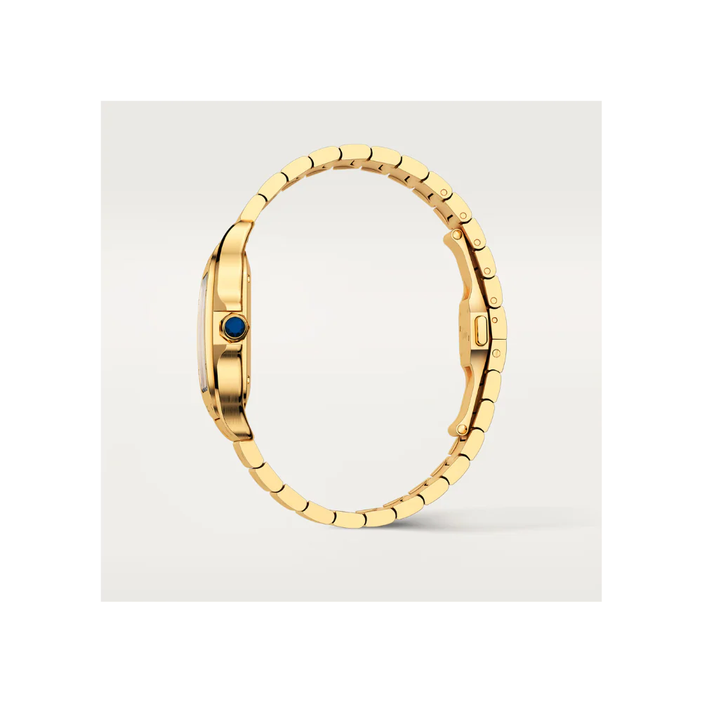 S de C Medium Watch