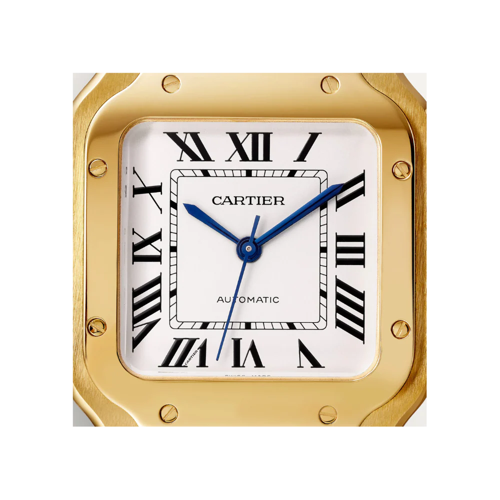 S de C Medium Watch