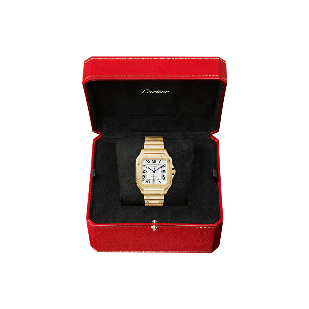 S de C Large Automatic Watch