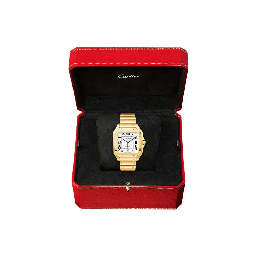S de C Medium Watch