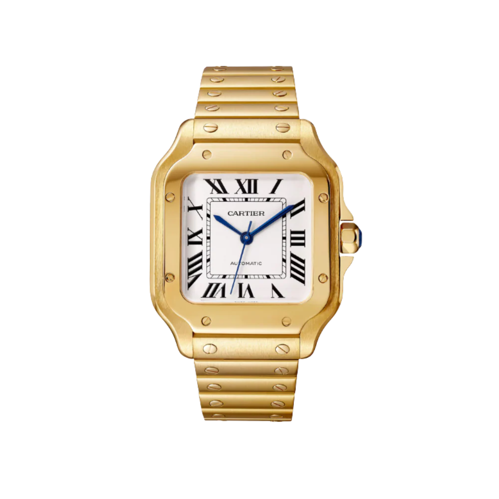 S de C Medium Watch